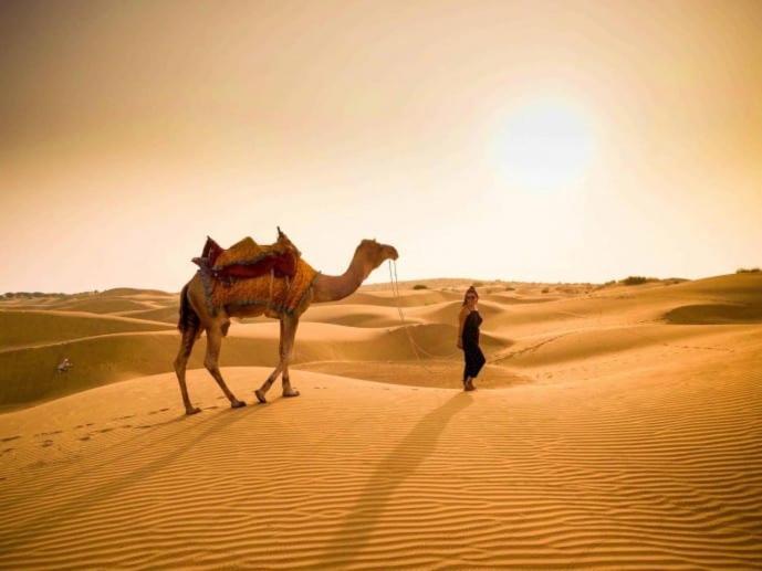 Golden Sandstone Hotel Desert Safari Camp Jaisalmer Extérieur photo